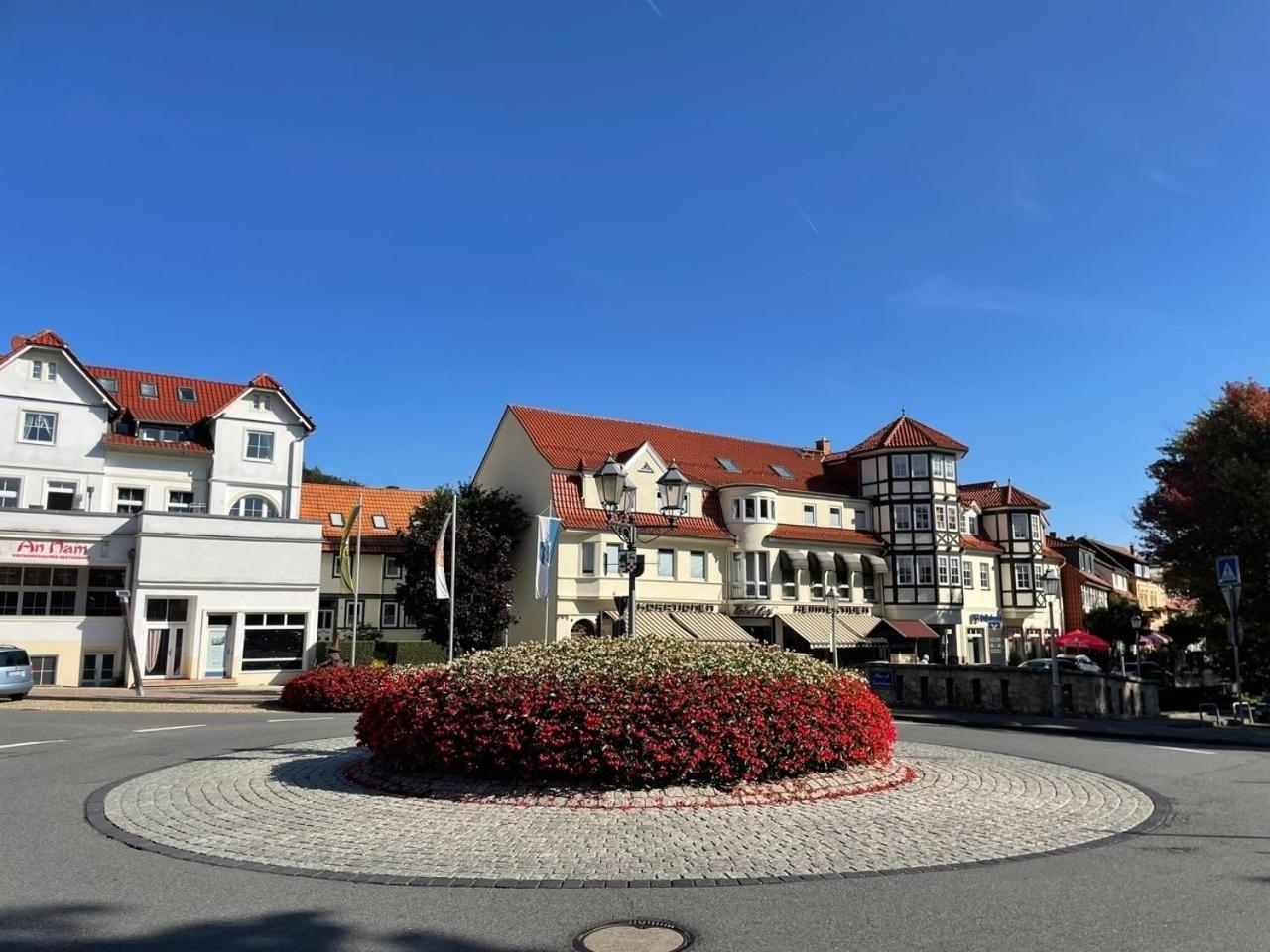 Ferienappartment "Kleine Waldpause" - Optional Mit Saunanutzung Bad Sachsa Esterno foto