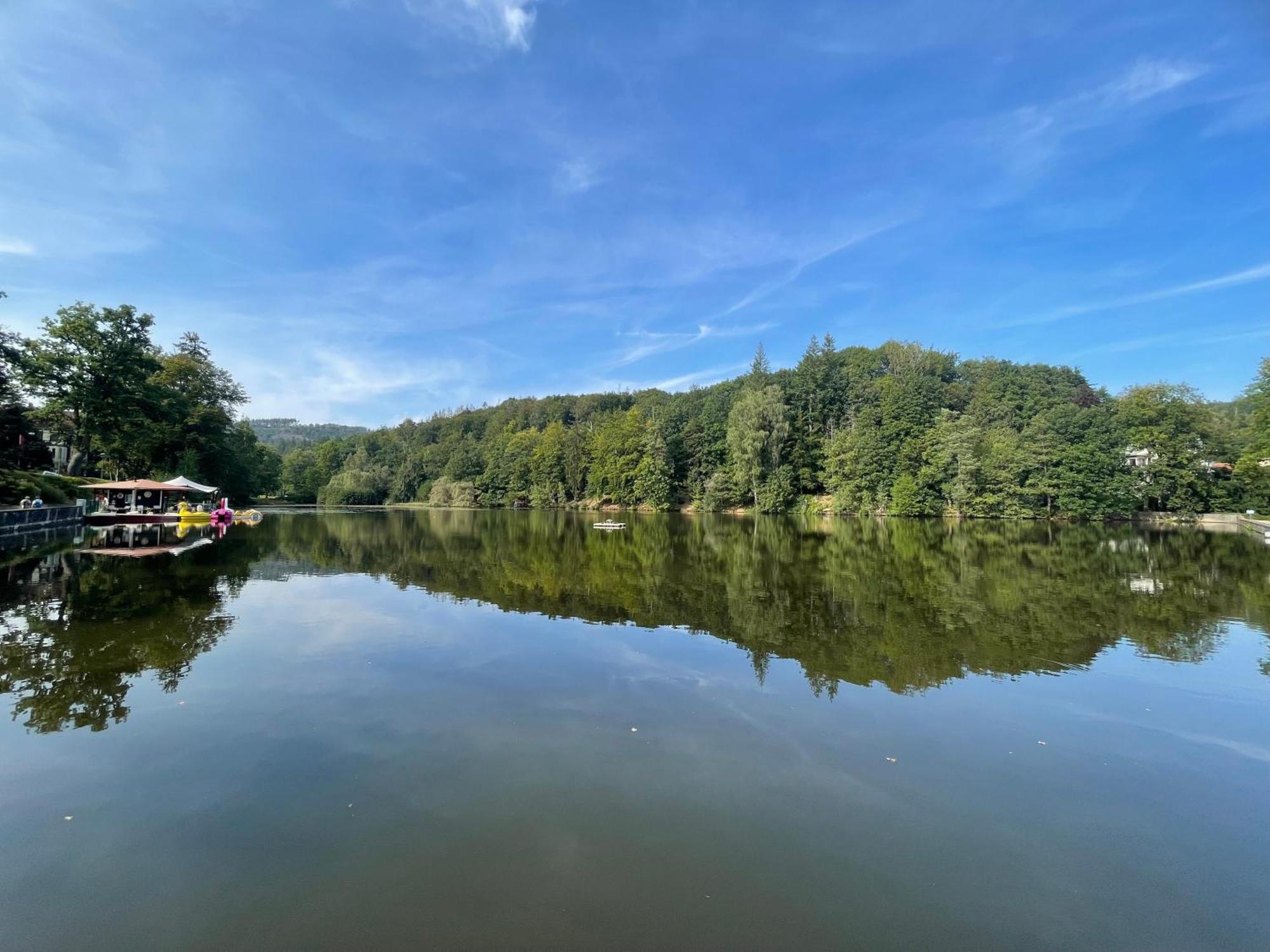 Ferienappartment "Kleine Waldpause" - Optional Mit Saunanutzung Bad Sachsa Esterno foto